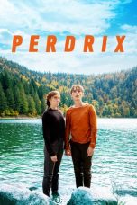 Nonton film lk21Perdrix (2019) indofilm