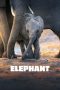 Nonton film lk21Elephant (2020) indofilm