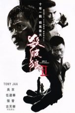 Nonton film lk21殺破狼2 (2015) indofilm