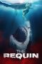 Nonton film lk21The Requin (2022) indofilm