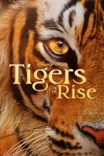 Nonton film lk21Tigers on the Rise indofilm